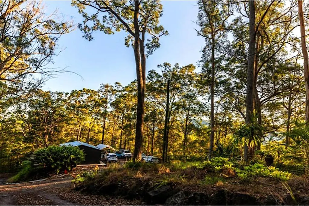 Willa Hunchy Escape Montville Australia